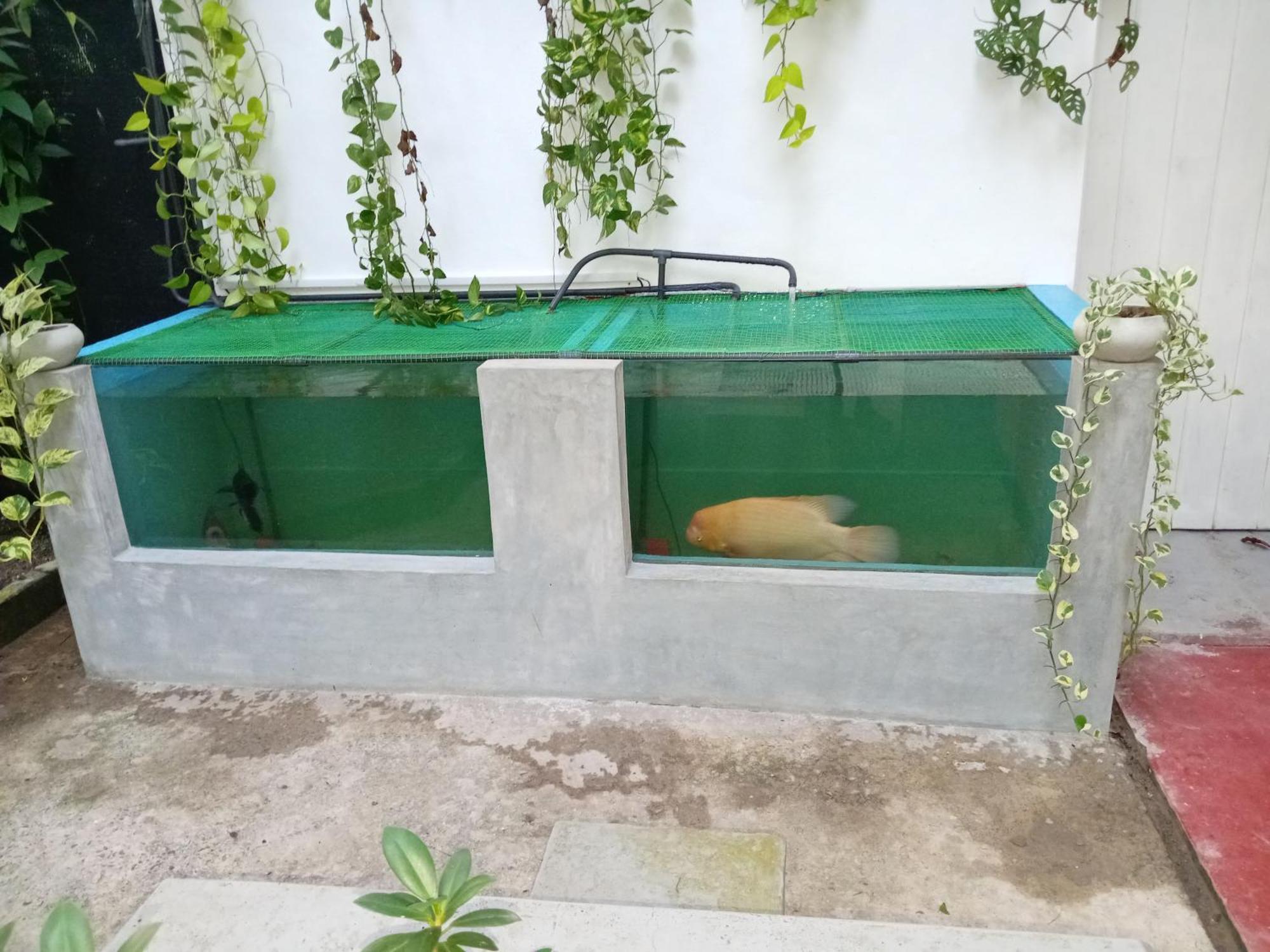 Kirala Villa Mihiripenne Dış mekan fotoğraf